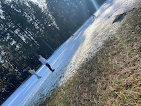 Kids play in snow on golf course