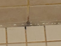 Main shower black mold caulked over