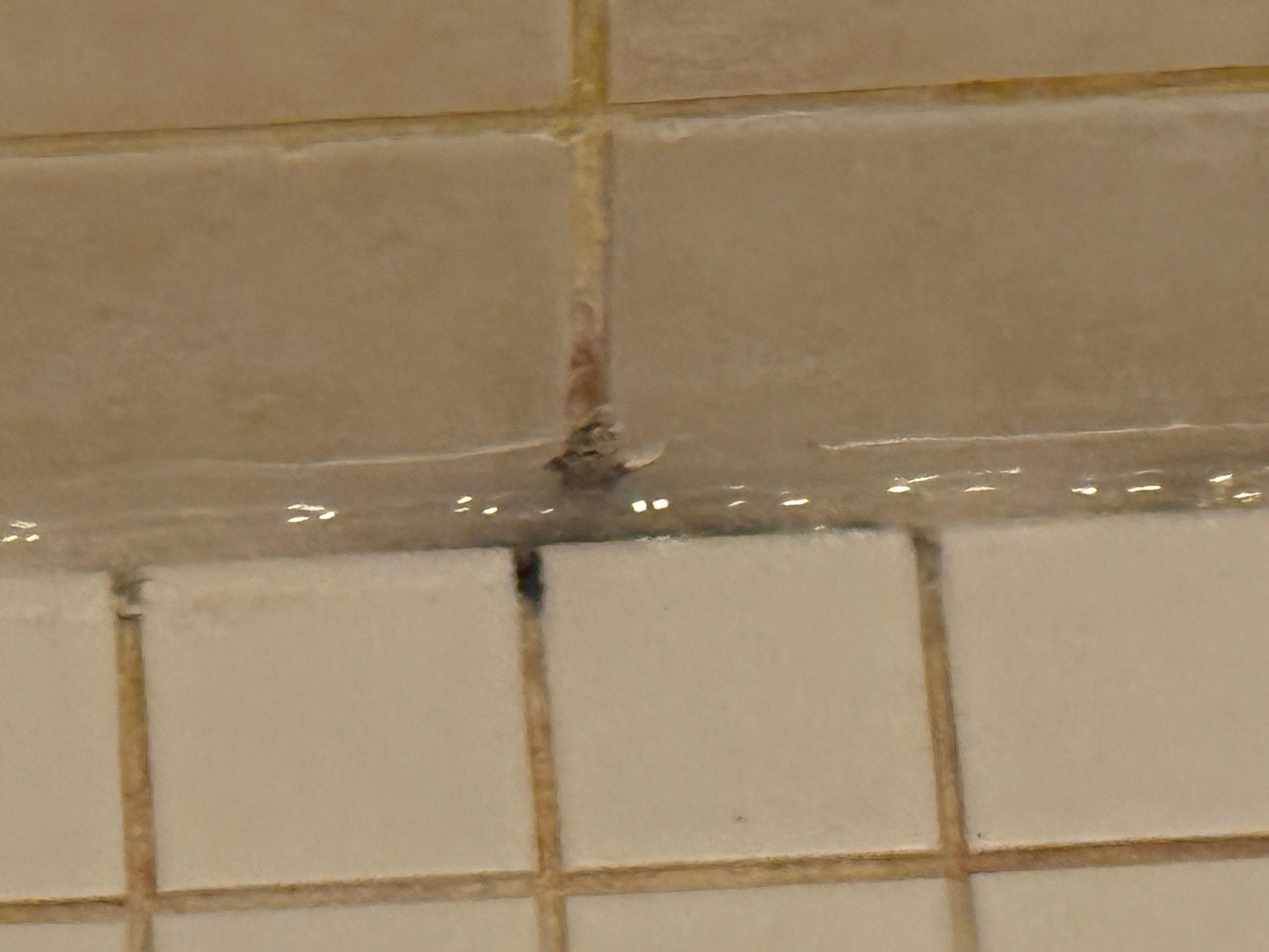 Main shower black mold caulked over