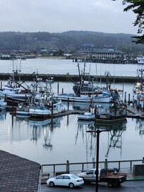 View out of the living room window.