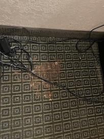 Dried vomit on floor was not cleaned up and my complaint was dismissed by front desk.