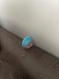 Stale gummy worm