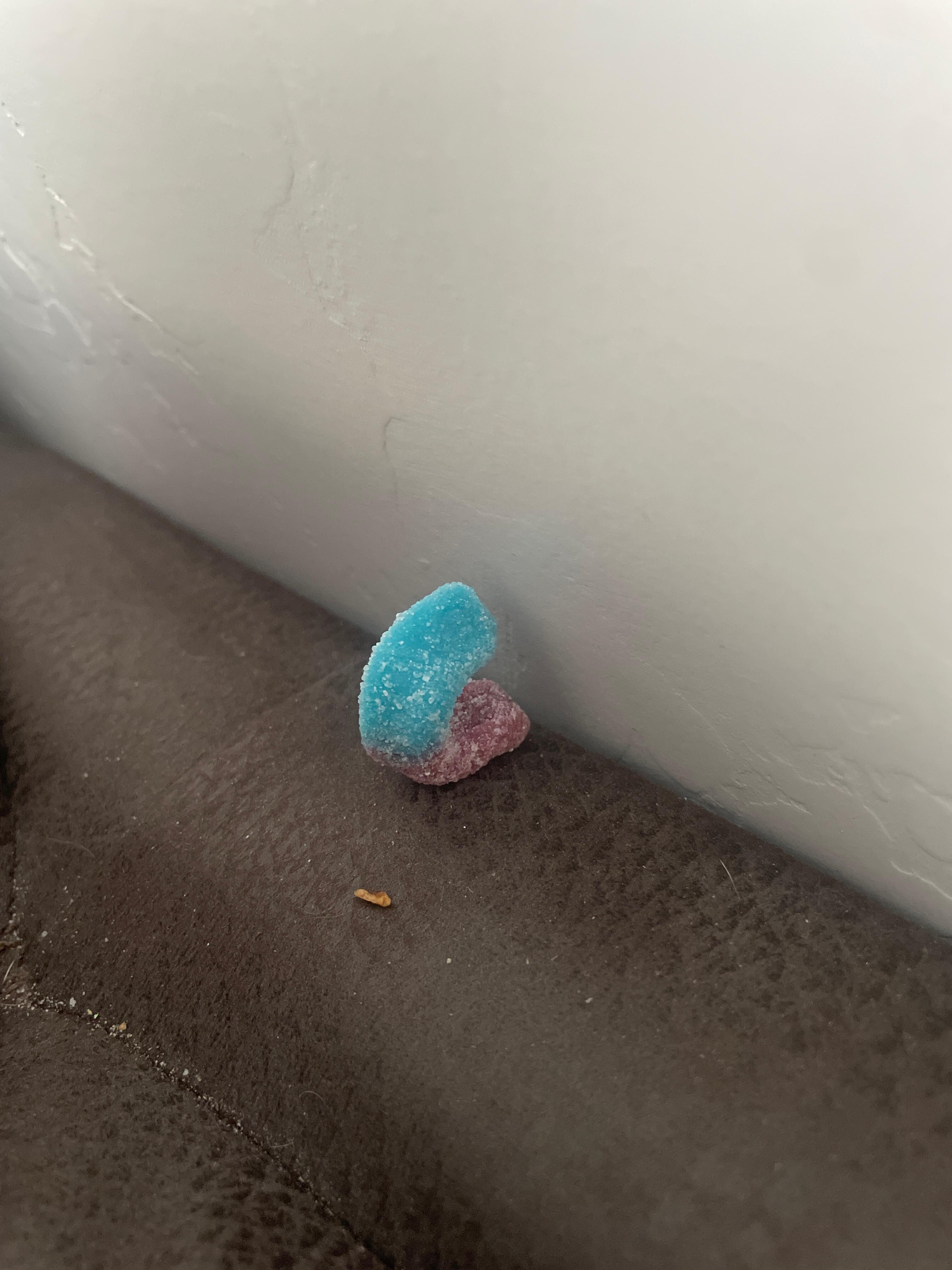 Stale gummy worm