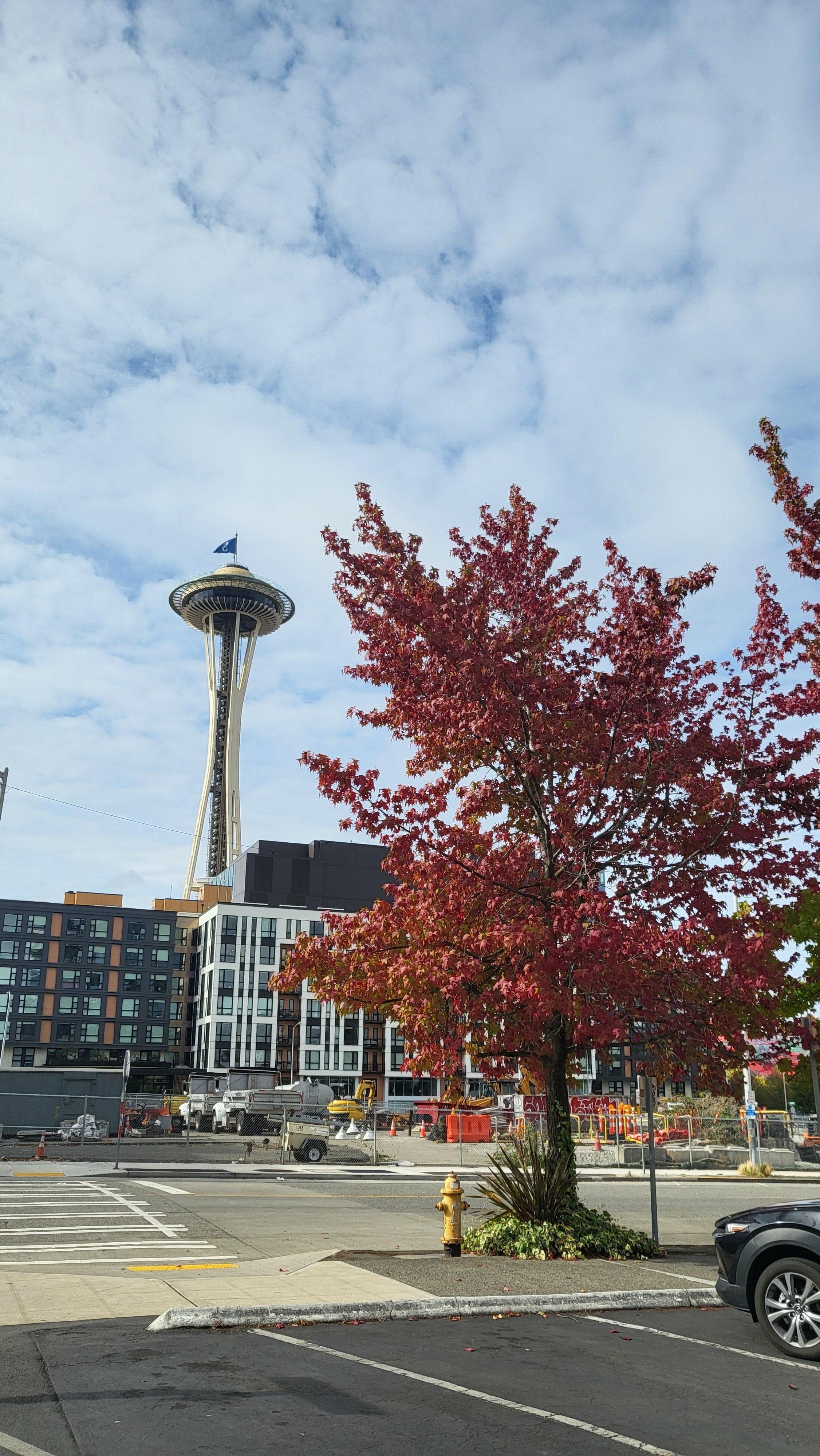 View of Space Needle at the parking lot in front of the hotel!