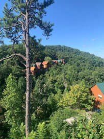 The weather was beautiful at the cabin.