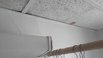 water stains and mold
