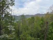 View from the porch.