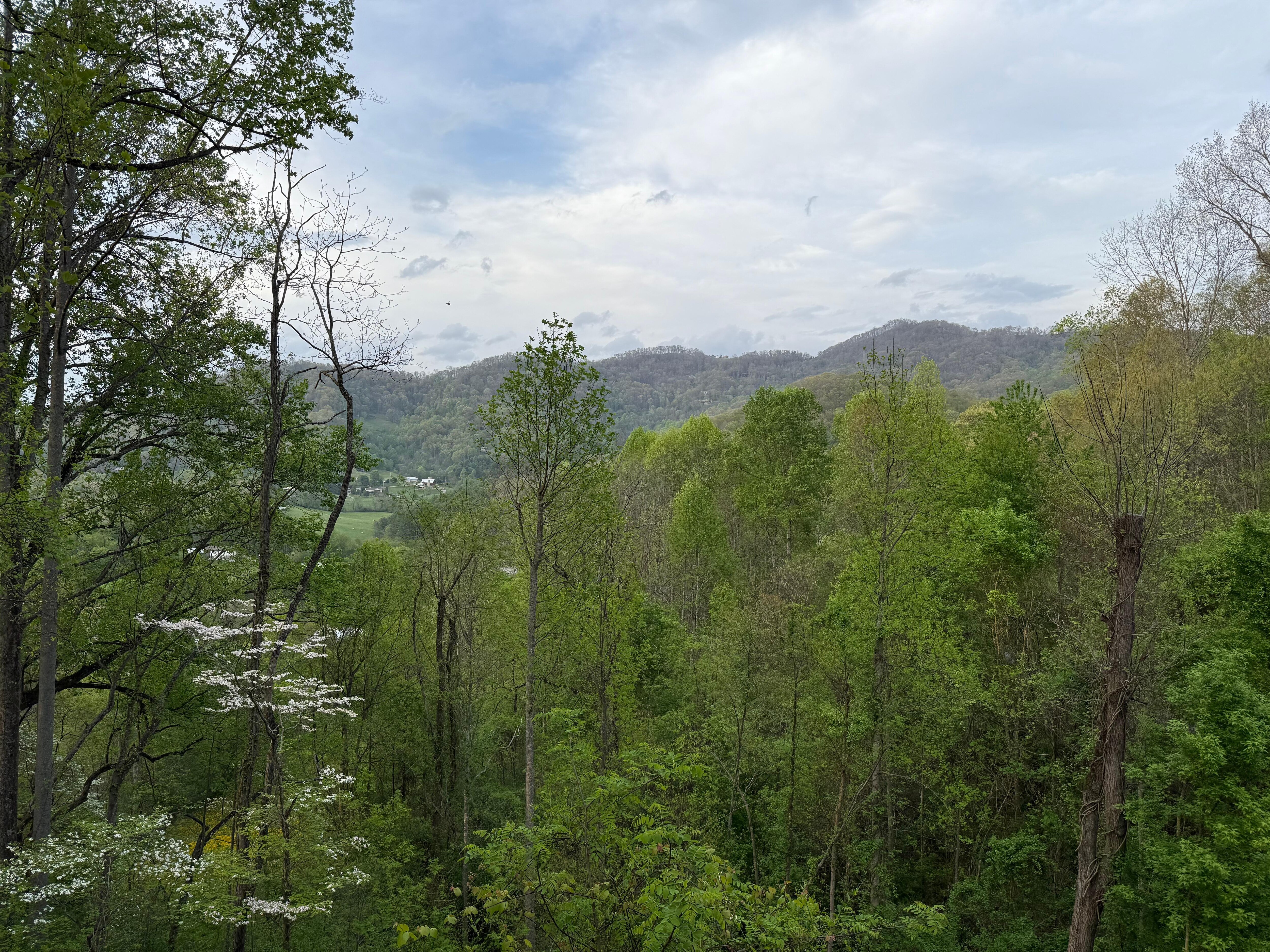 View from the porch. 
