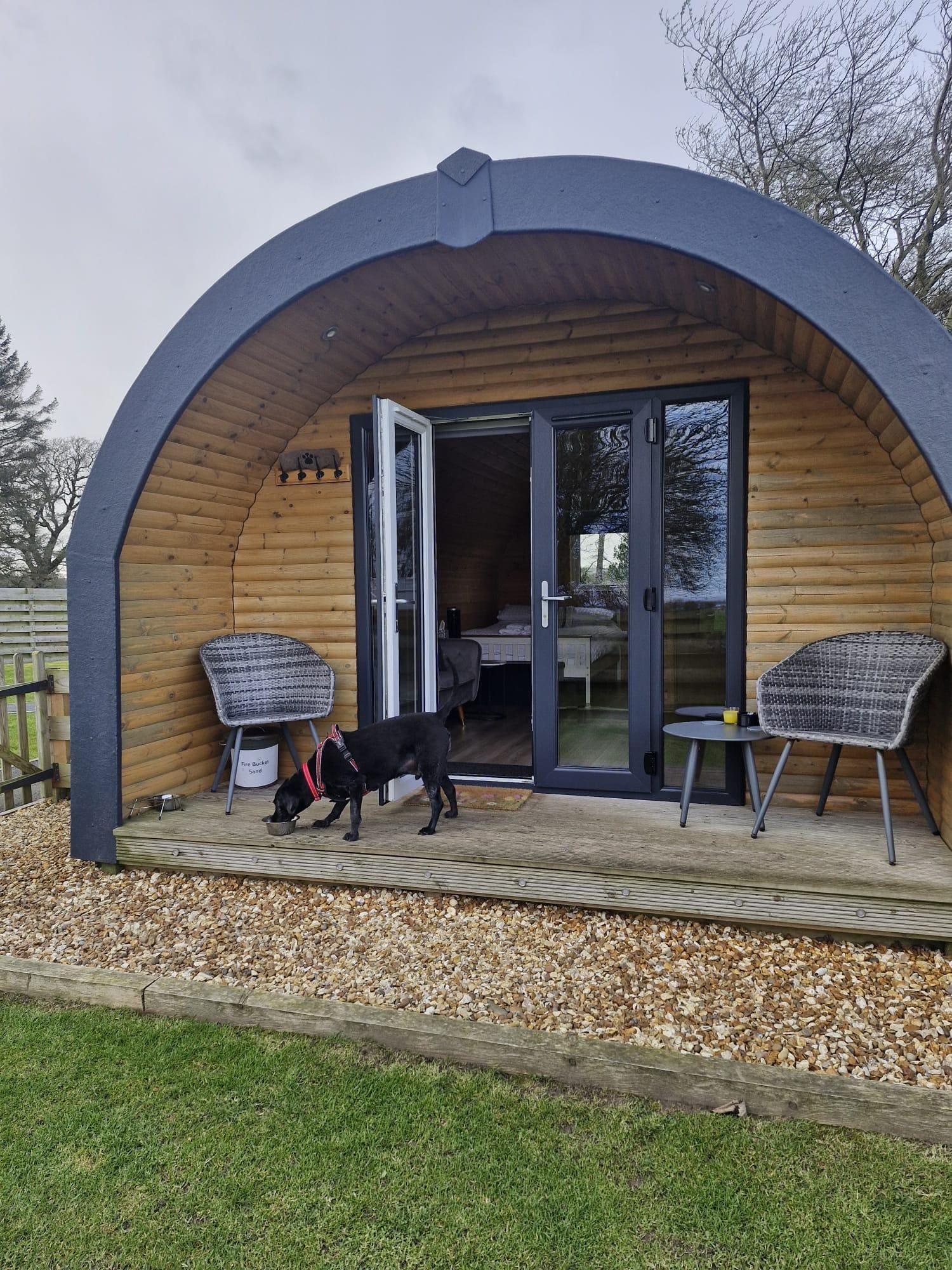 Outside, secure fenced garden