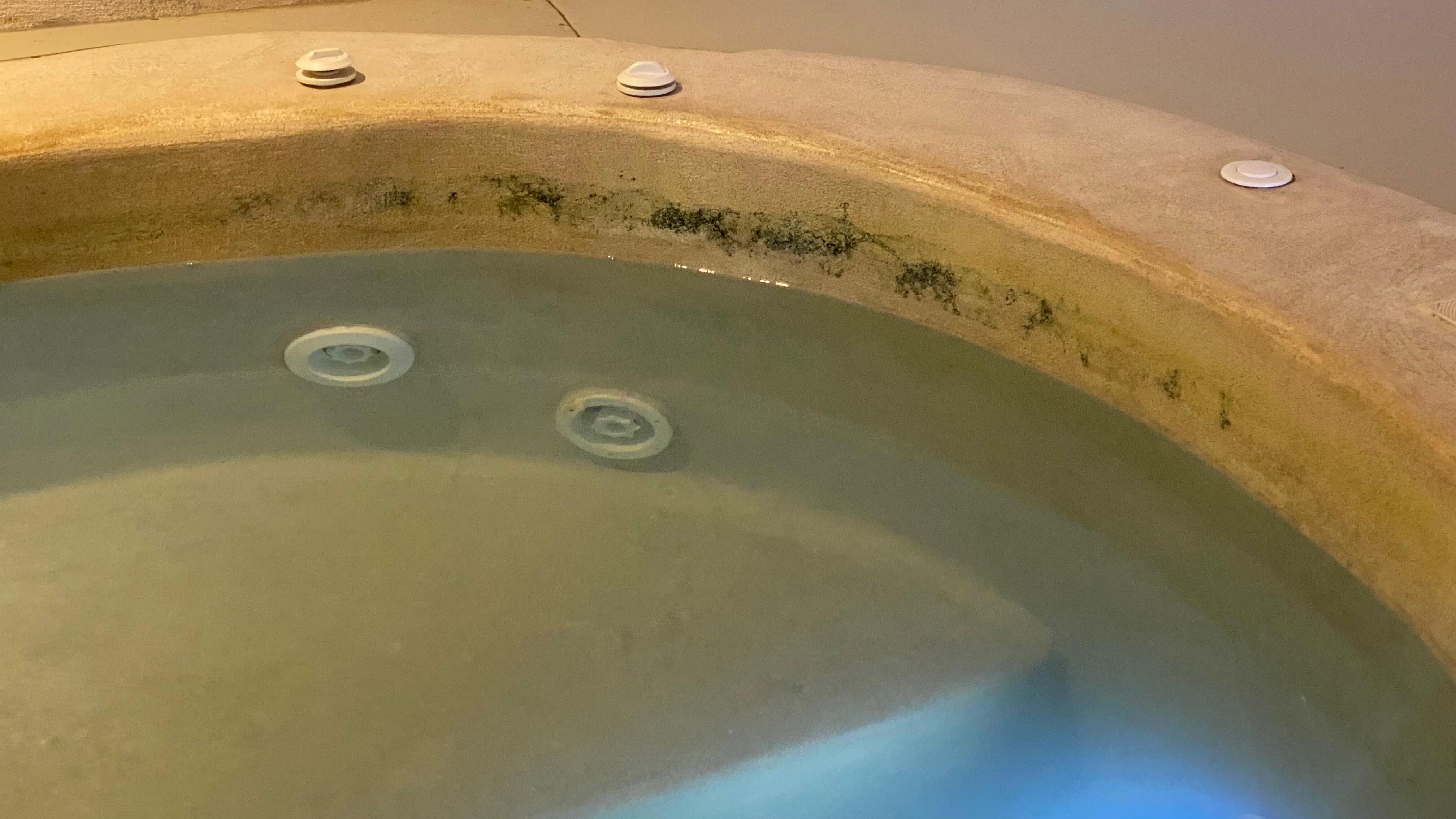 SPA de la chambre avec moisissures vertes 