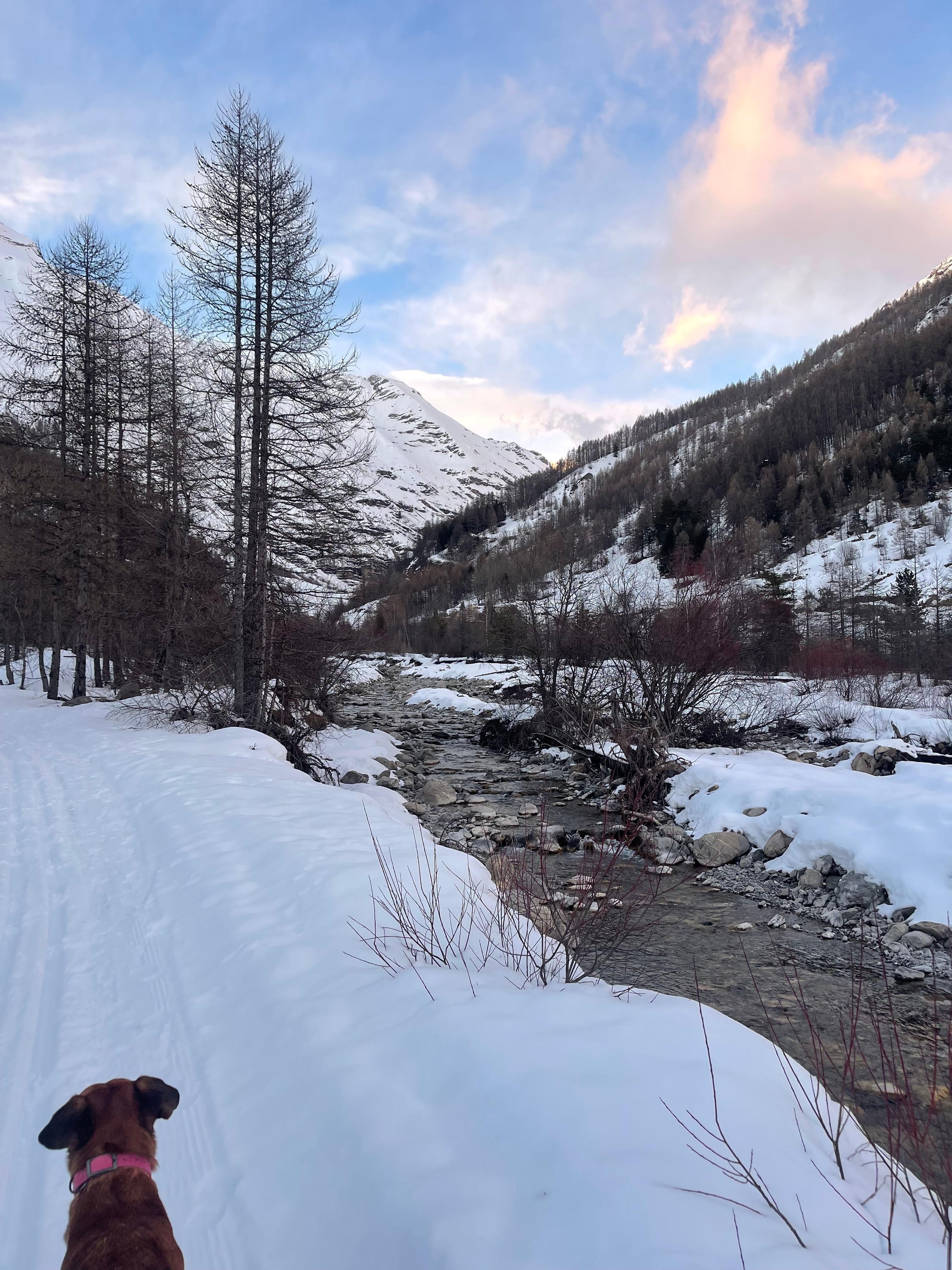 Ballade juste à côté du gîte 