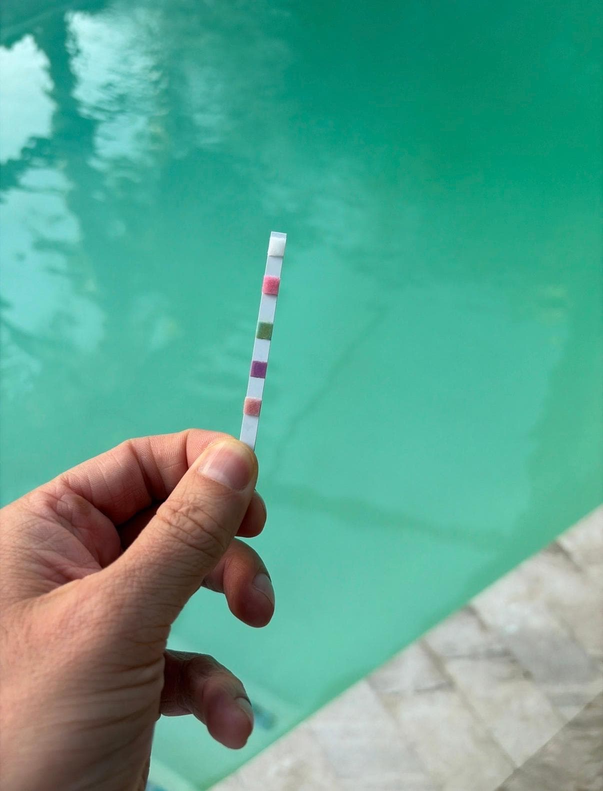 I bought test strips because I was trying to decide if it was ok to let my daughter back in the pool. She was so bummed!