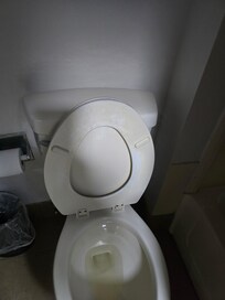 Urine in toilet