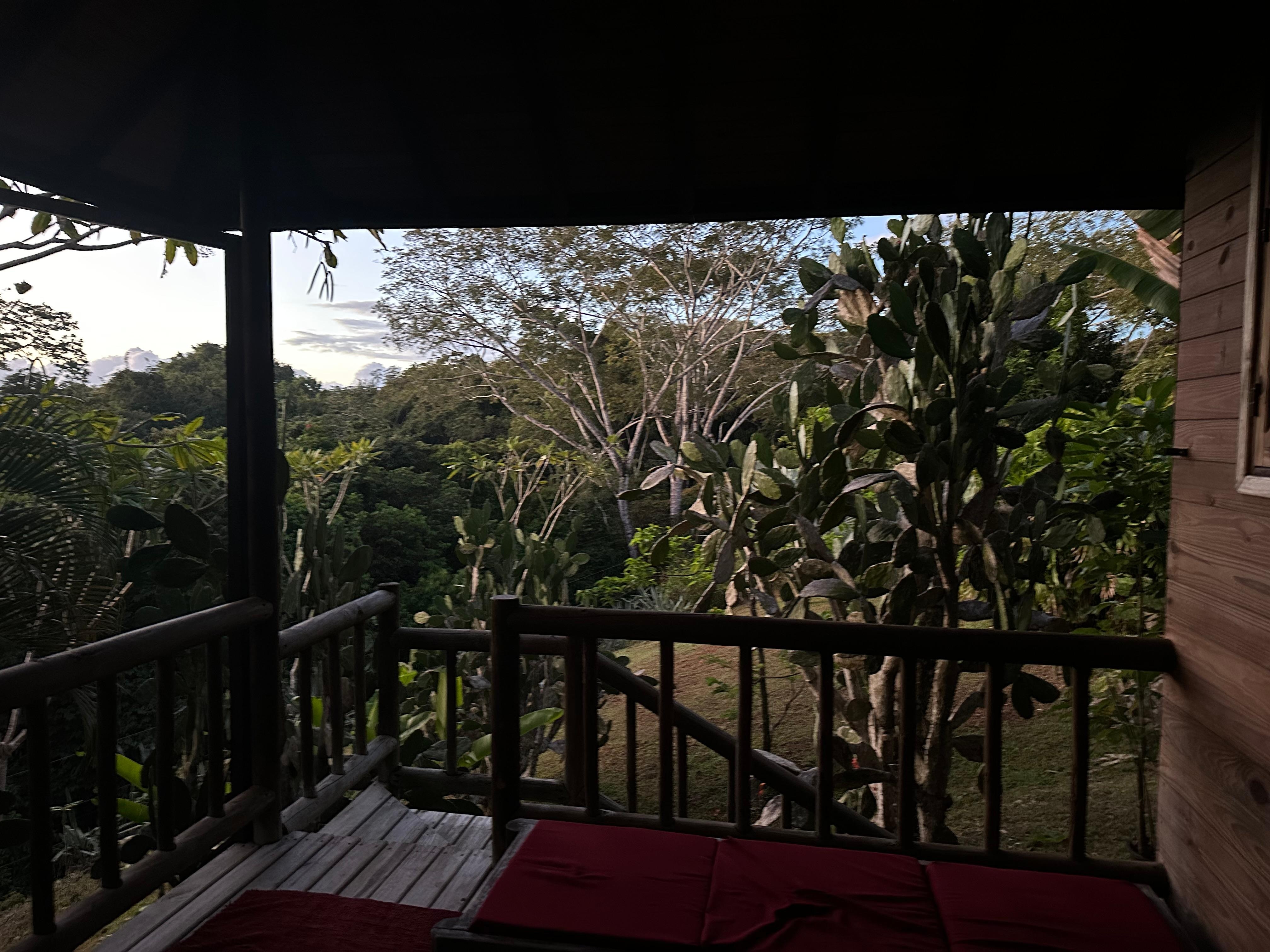 Out our bedroom window 