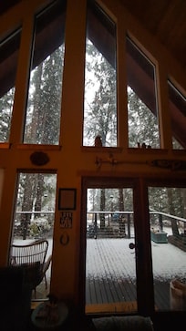 Watching the snow through the A frame windows 😍