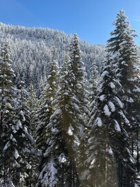 View from main level