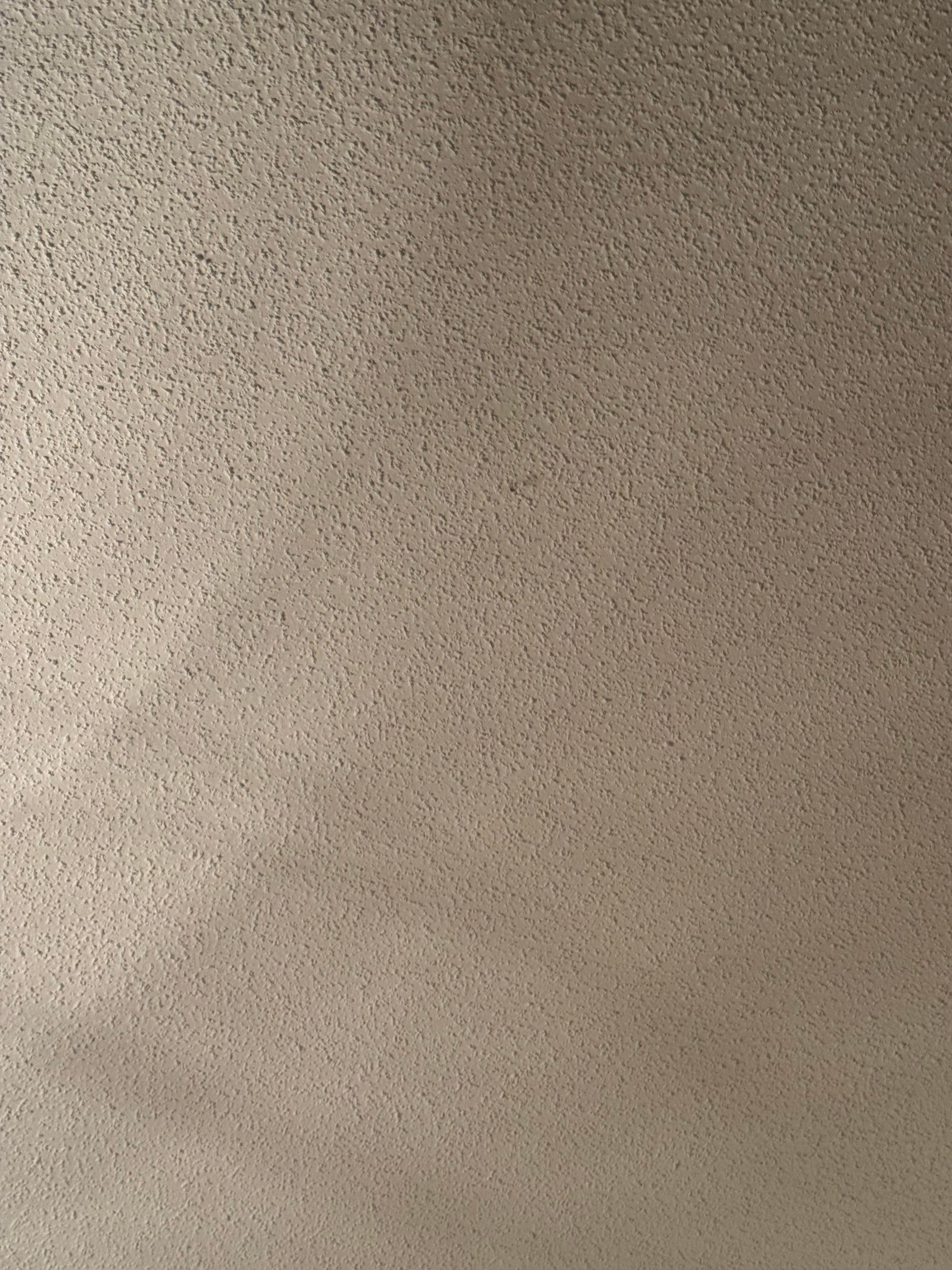 Spiders on the ceiling 