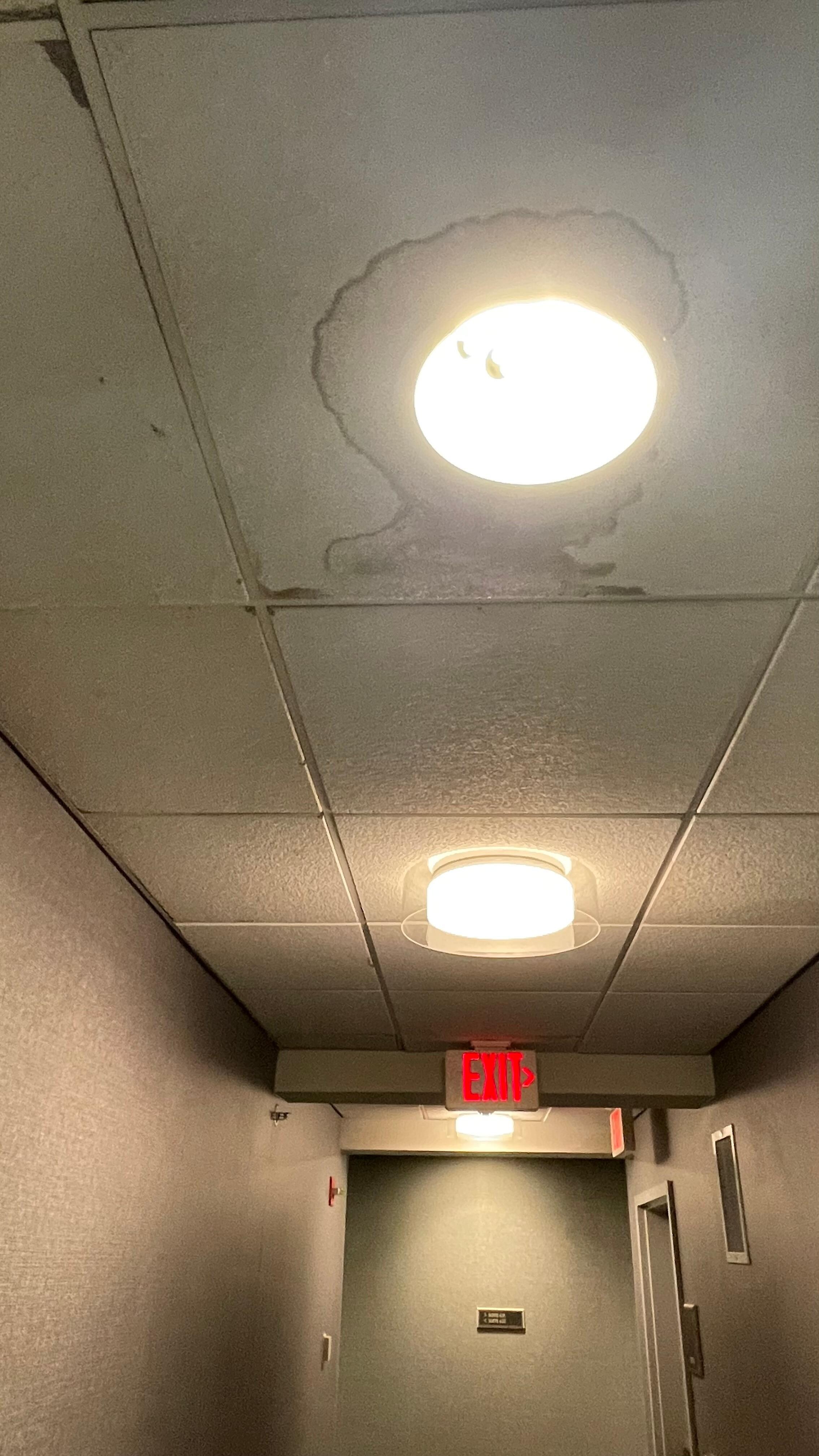 Ceilings with water damage
