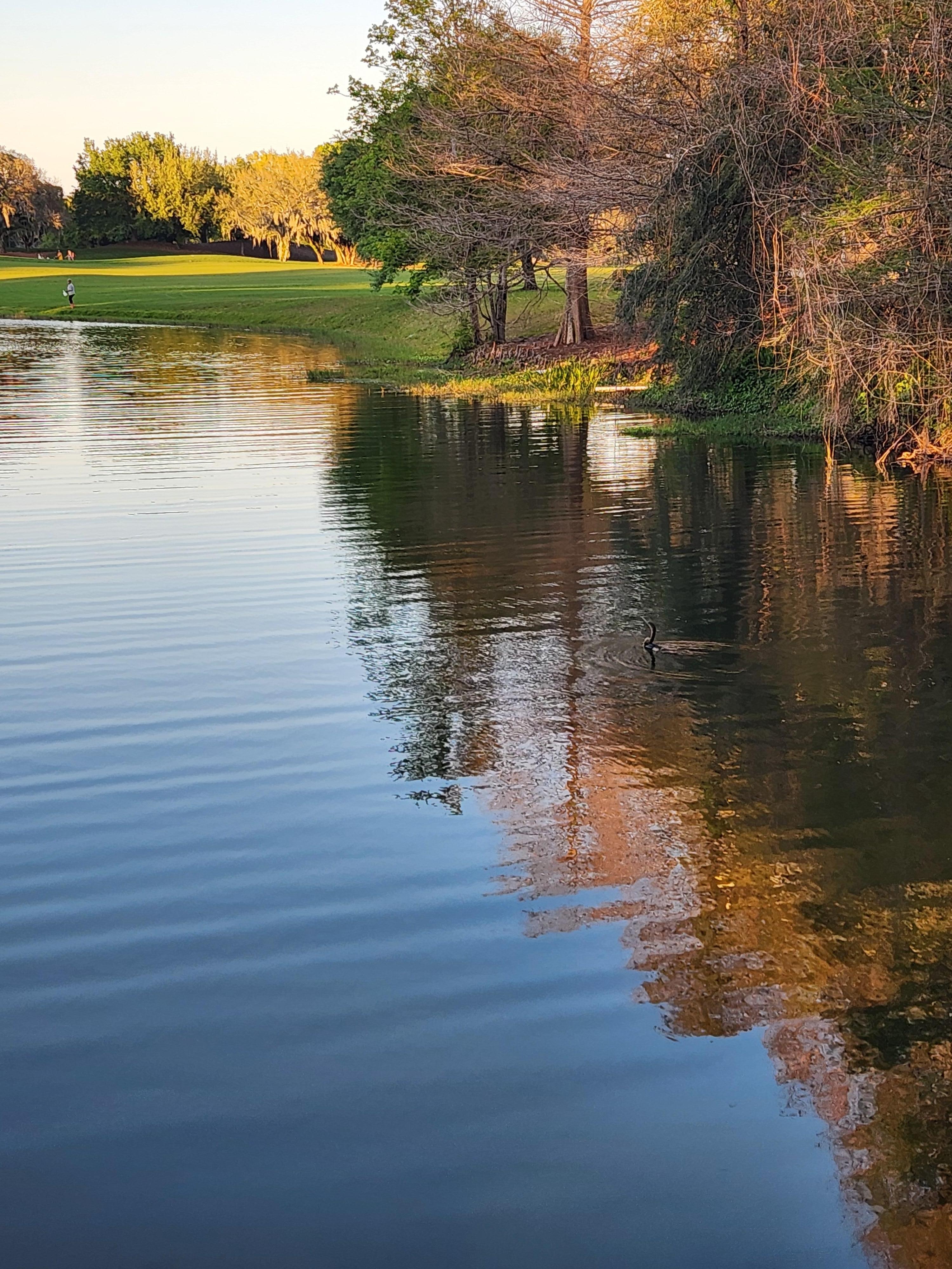 East Village Pond near Grilling area