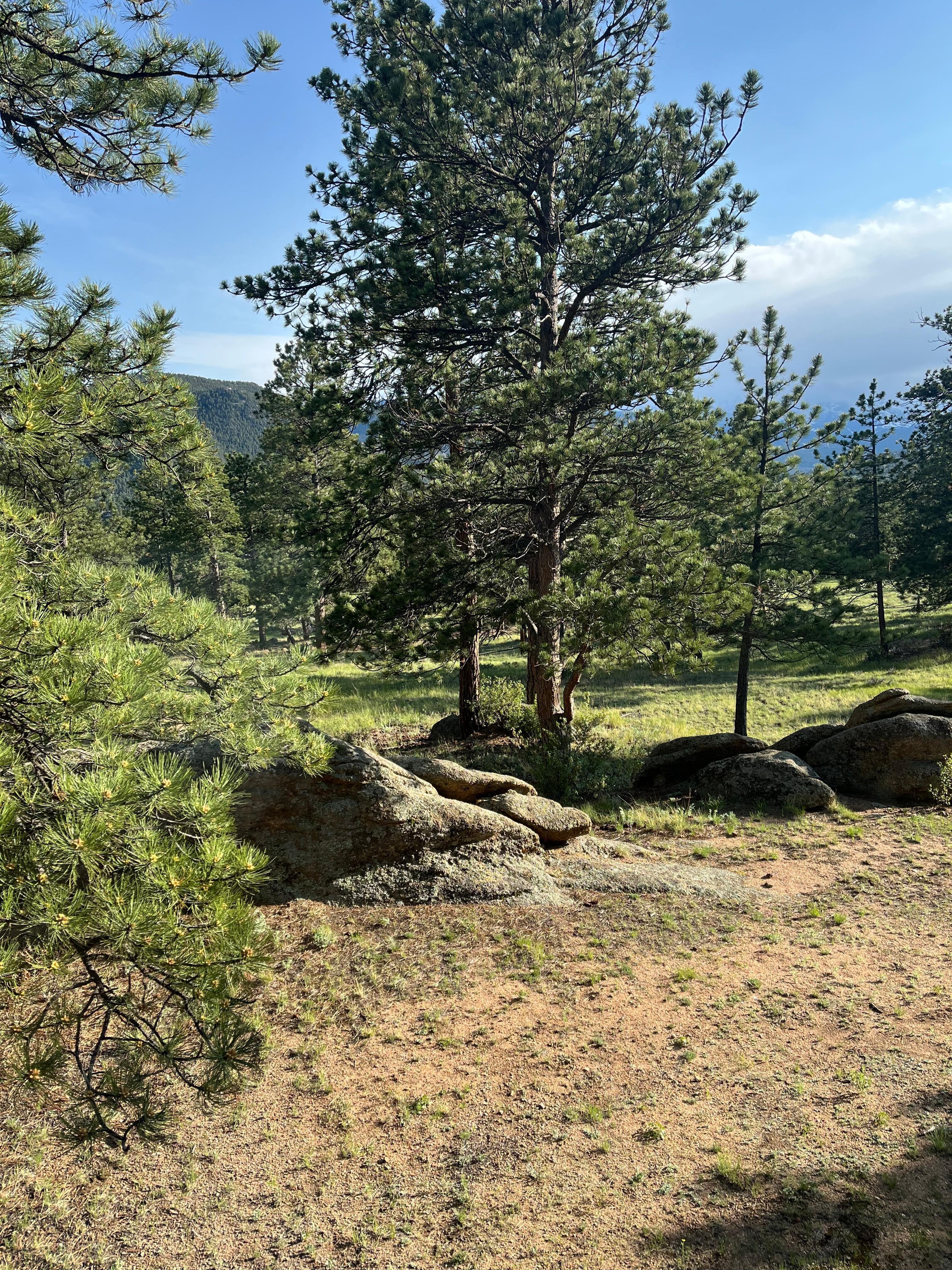 Views from our bedroom