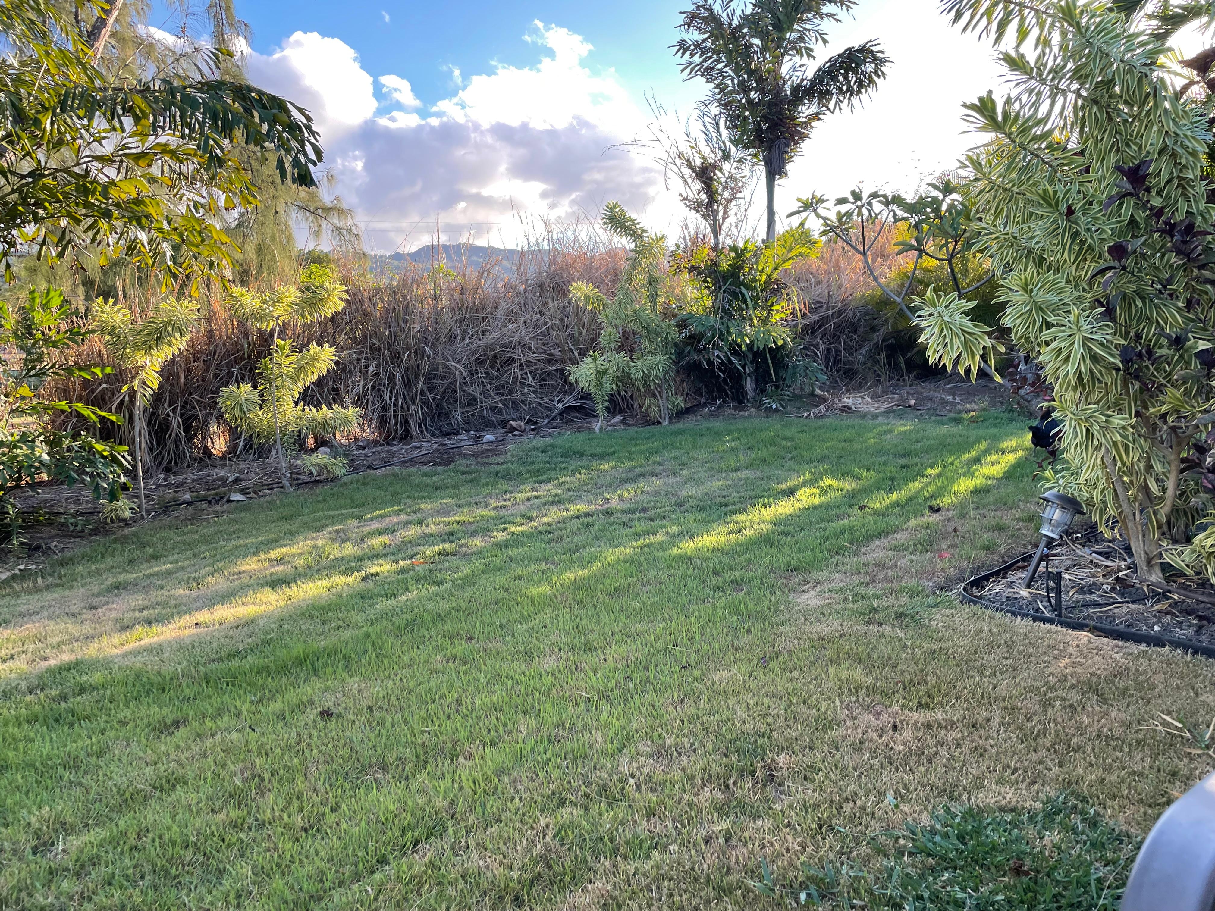 The owner takes great care to create a beautiful and tranquil experience