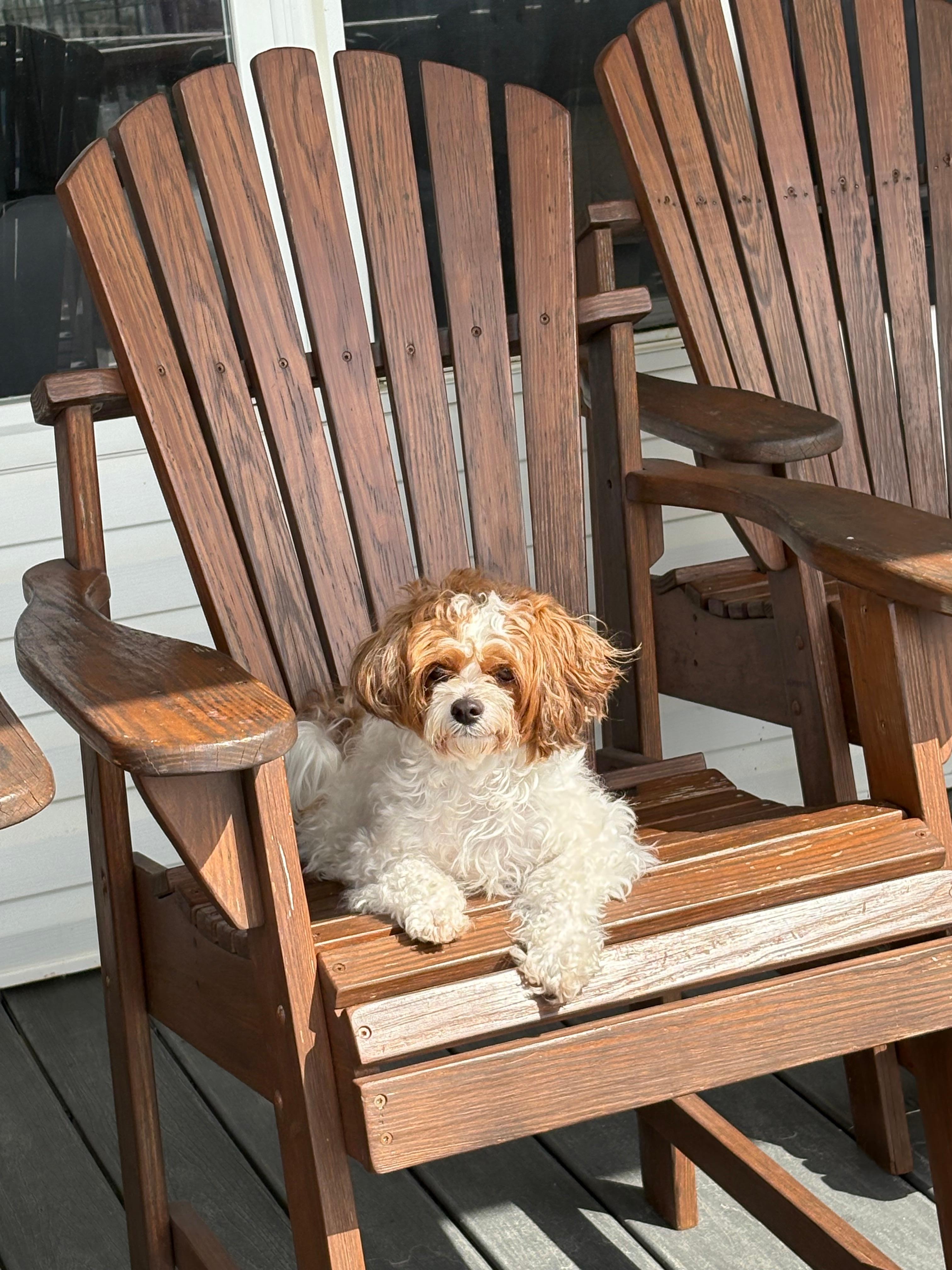 Winnie loved the deck !