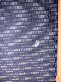 Stain on chair