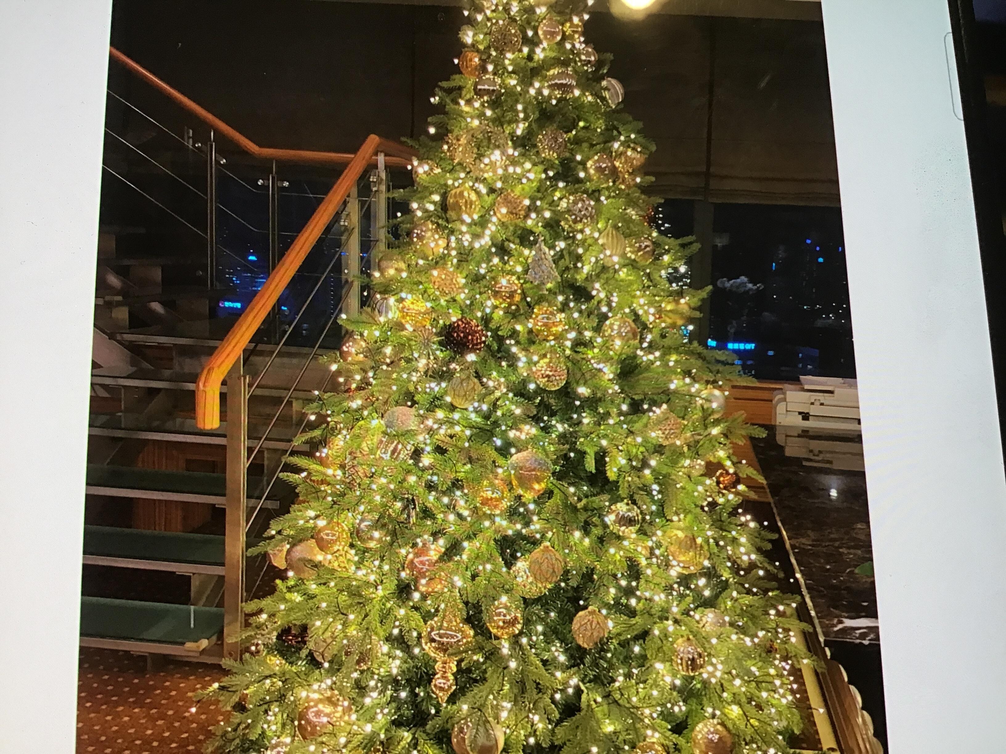 Holidays have arrived.