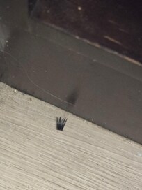 Eyelash left on floor