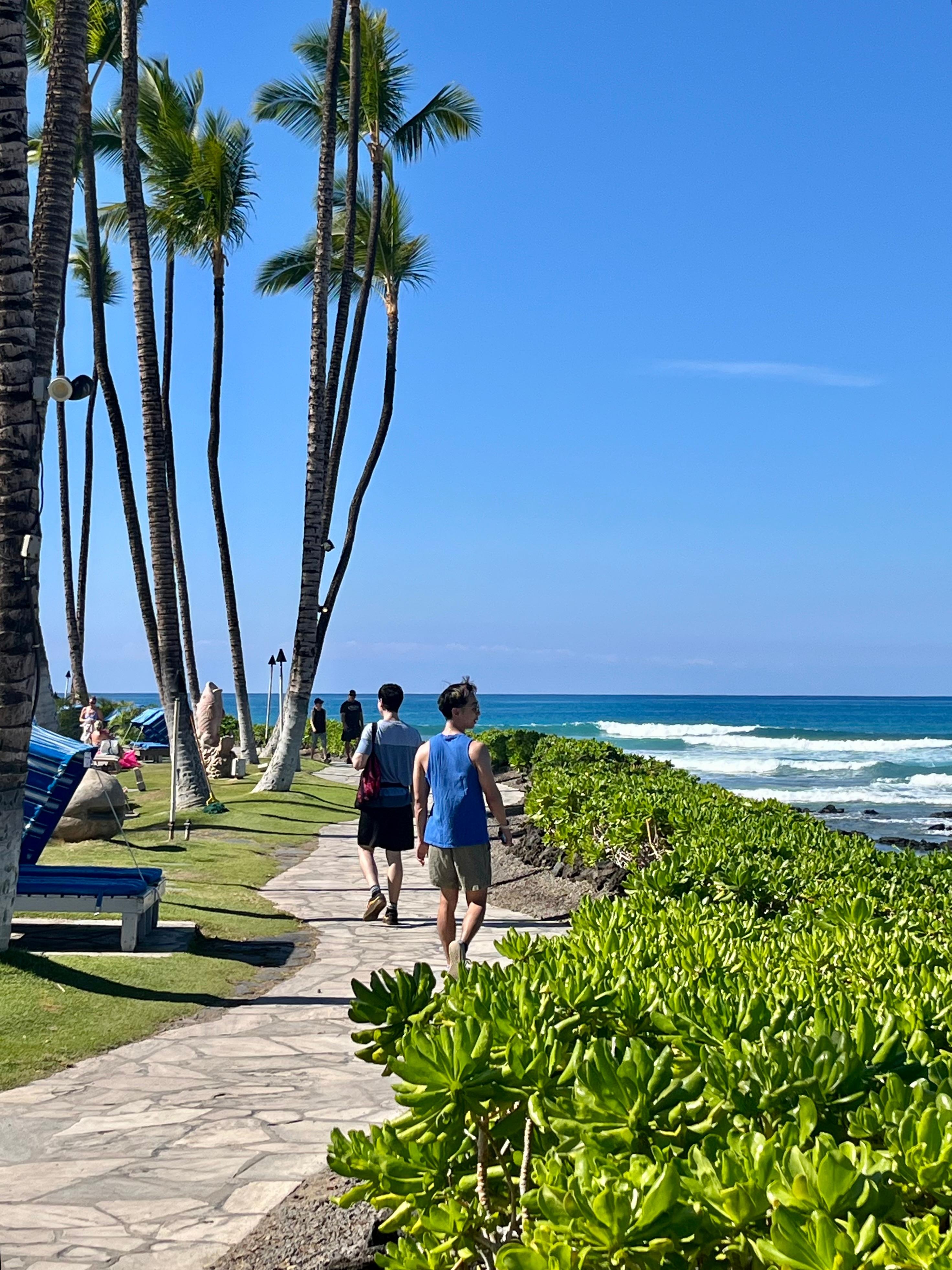 Paths easily accessible 