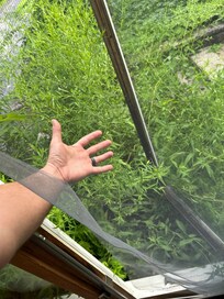 Broken window and screen, window would close.