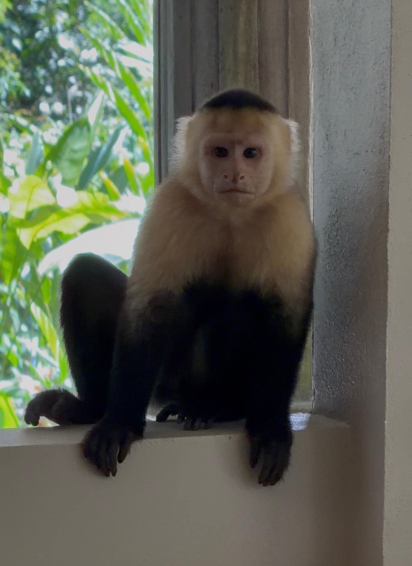 Nature is part of the resort