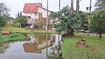 Lago dentro do hotel com diversos animais ao redor: patos, marrecos, galinhas...