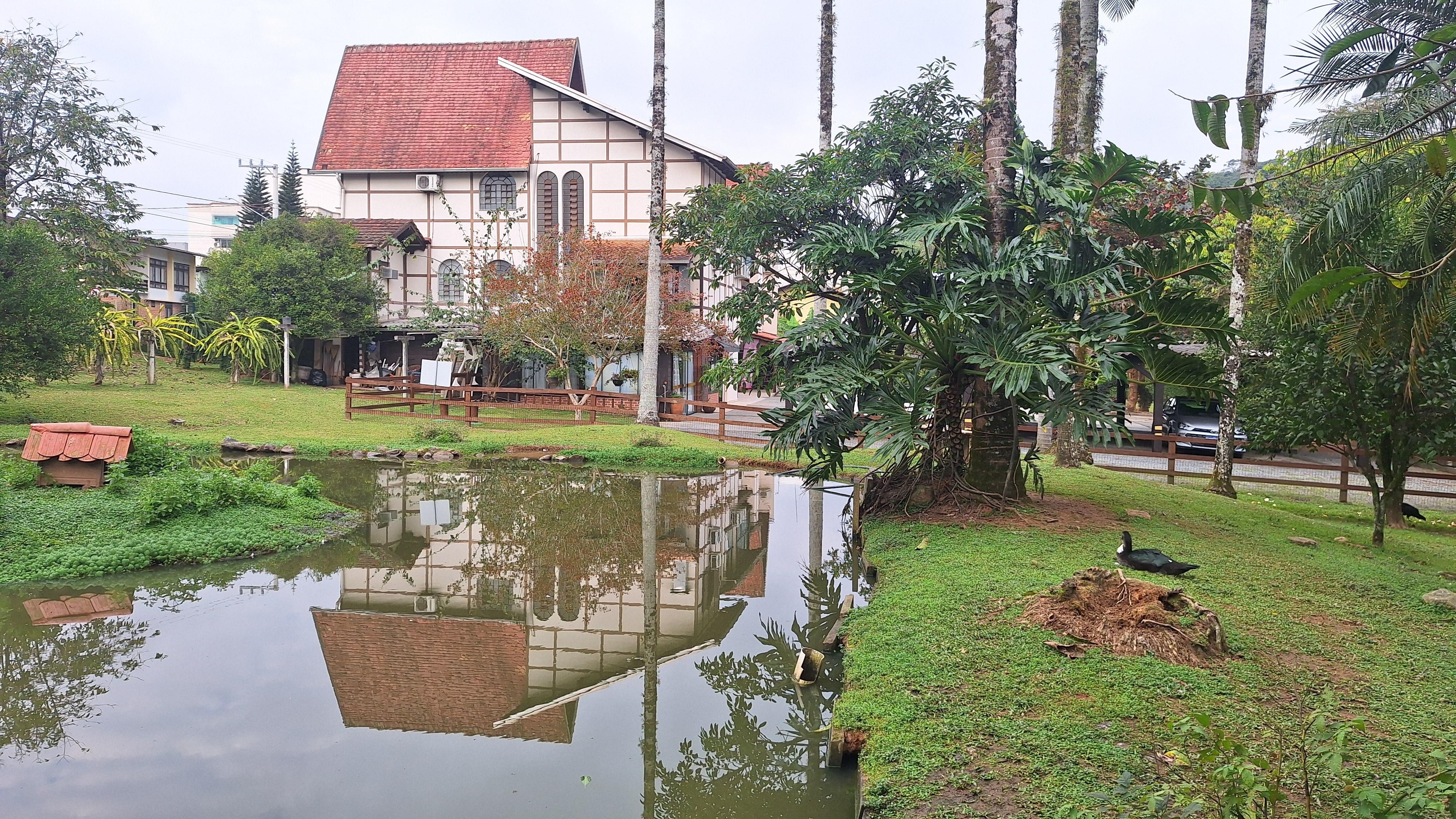 Lago dentro do hotel com diversos animais ao redor: patos, marrecos, galinhas...