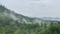 Rainy morning - view from the deck