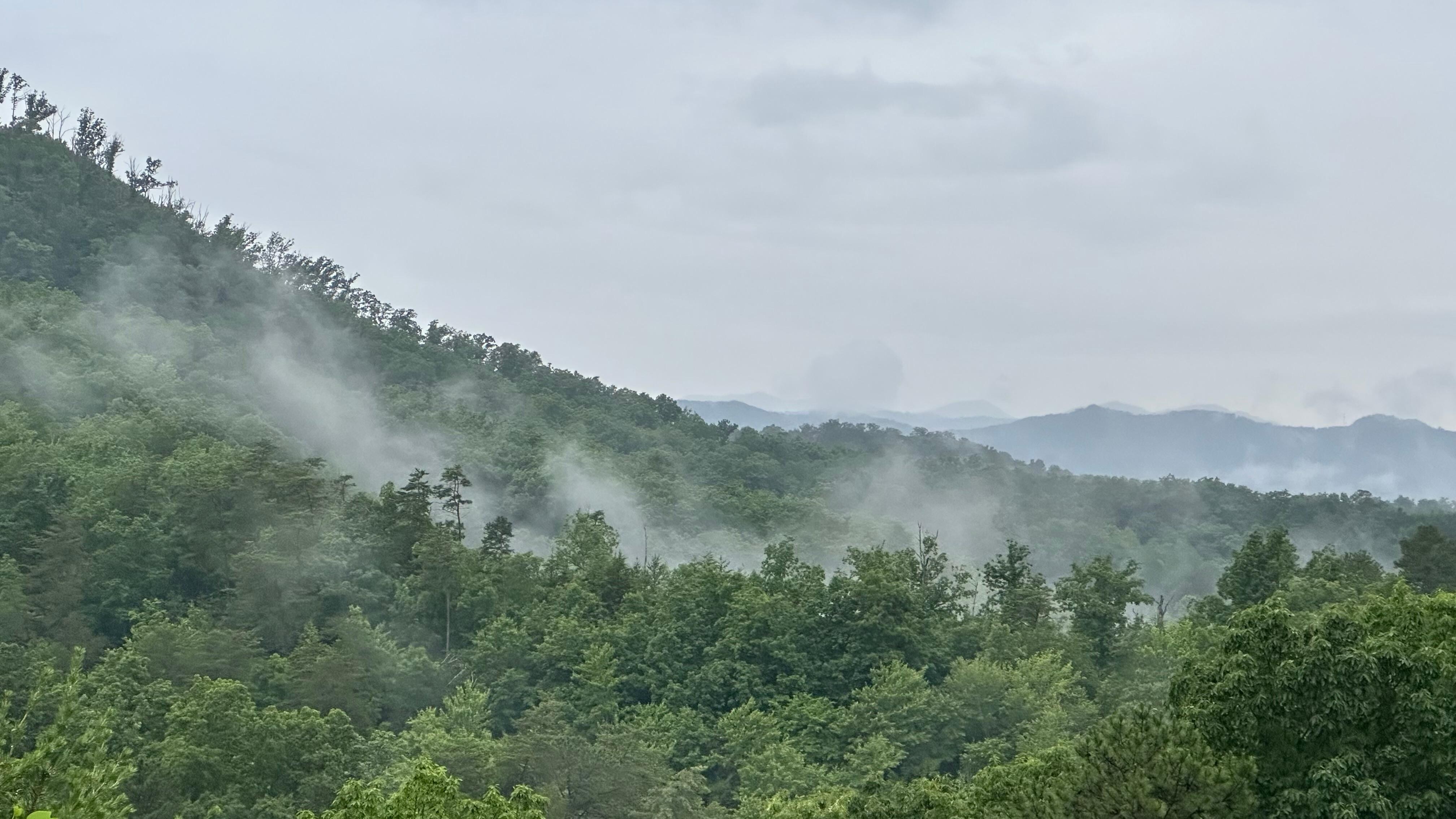 Rainy morning - view from the deck