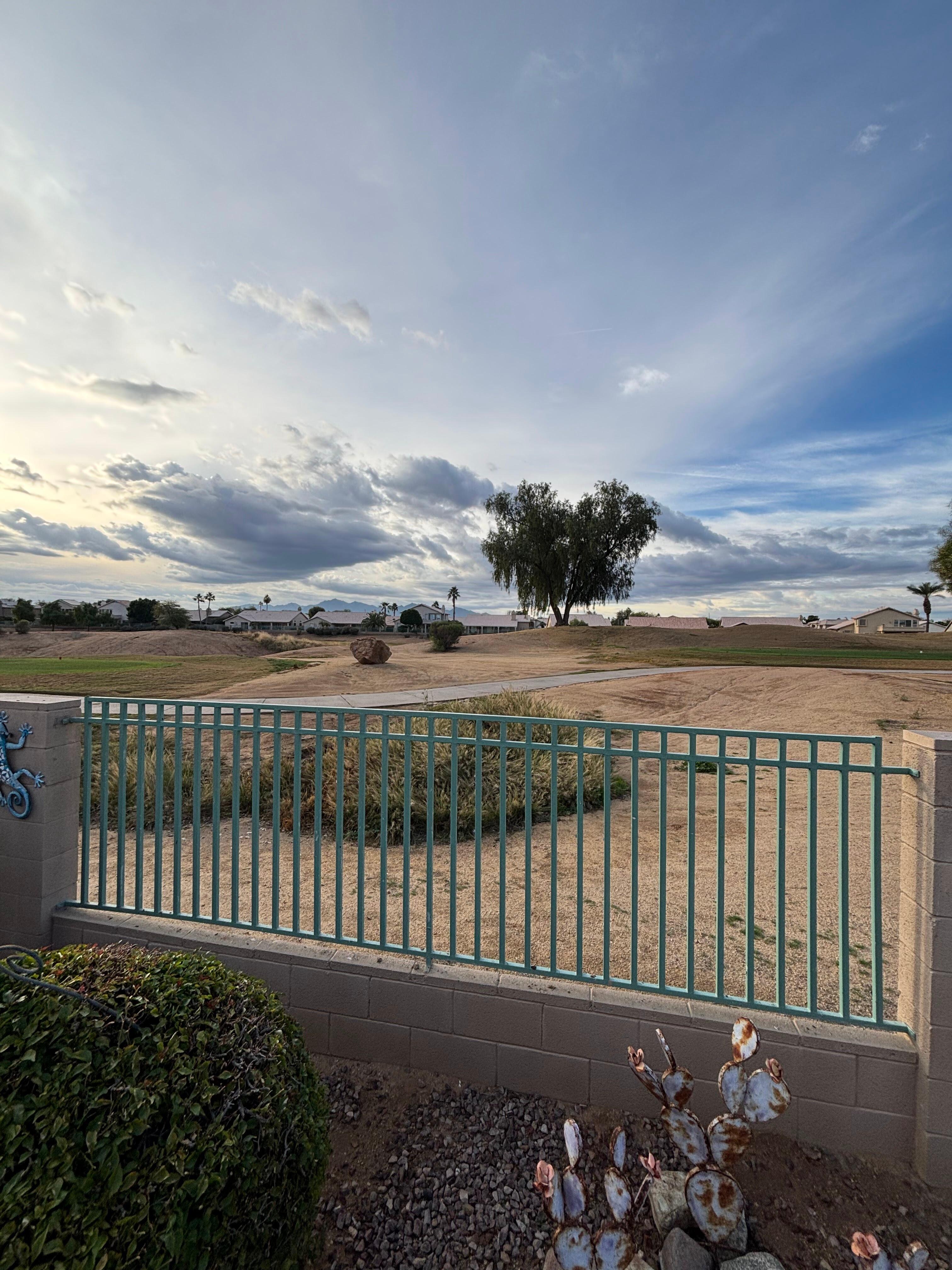 View from the backyard 