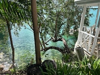 So much to see at the bottom of your rental stairs ... turtles, fish, starfish, even a nurse shark swam by.