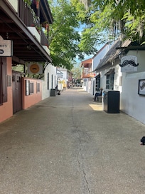 Morning walk.
