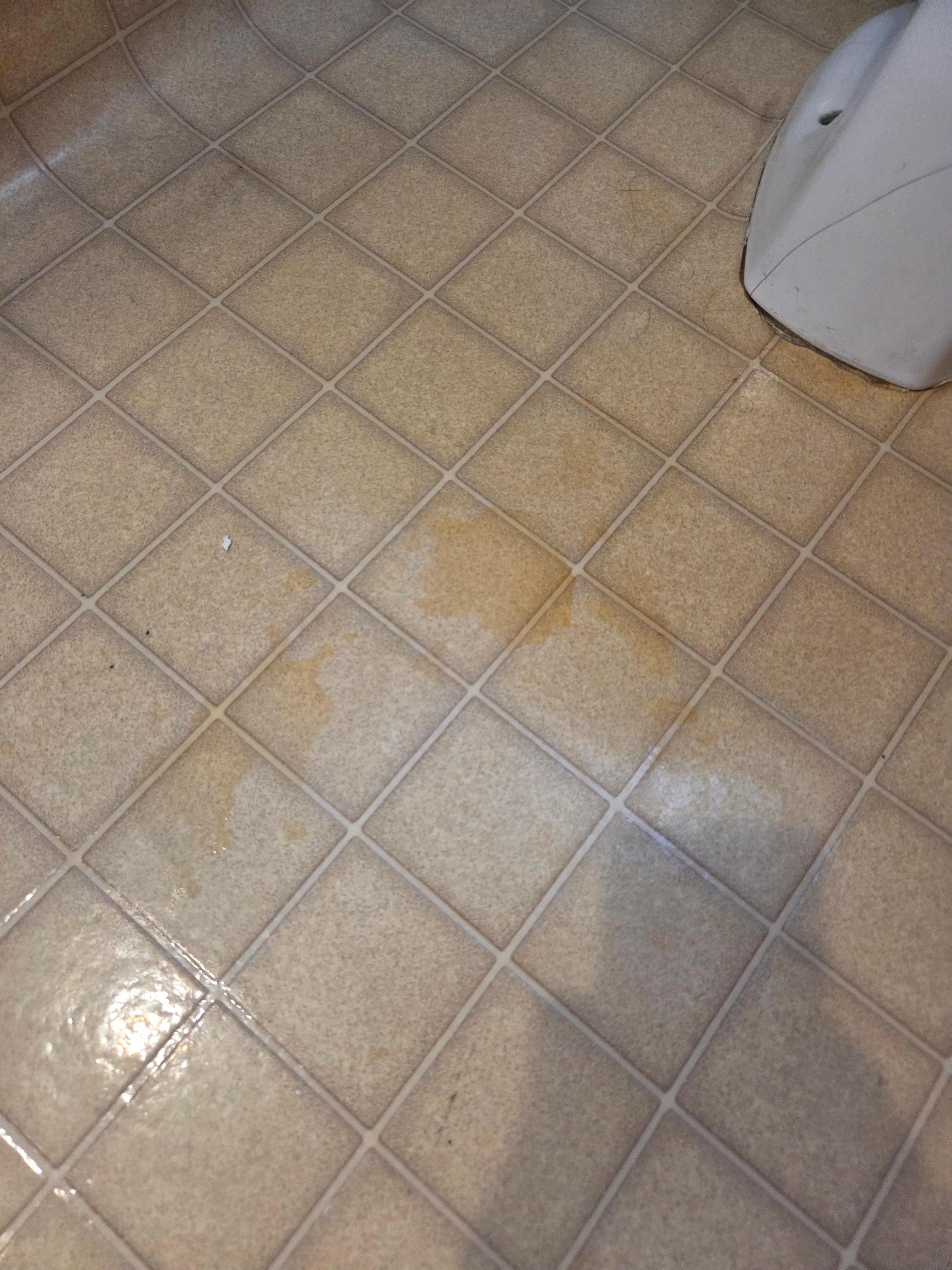 Toilet floor covered in old urine