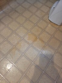 Toilet floor covered in old urine