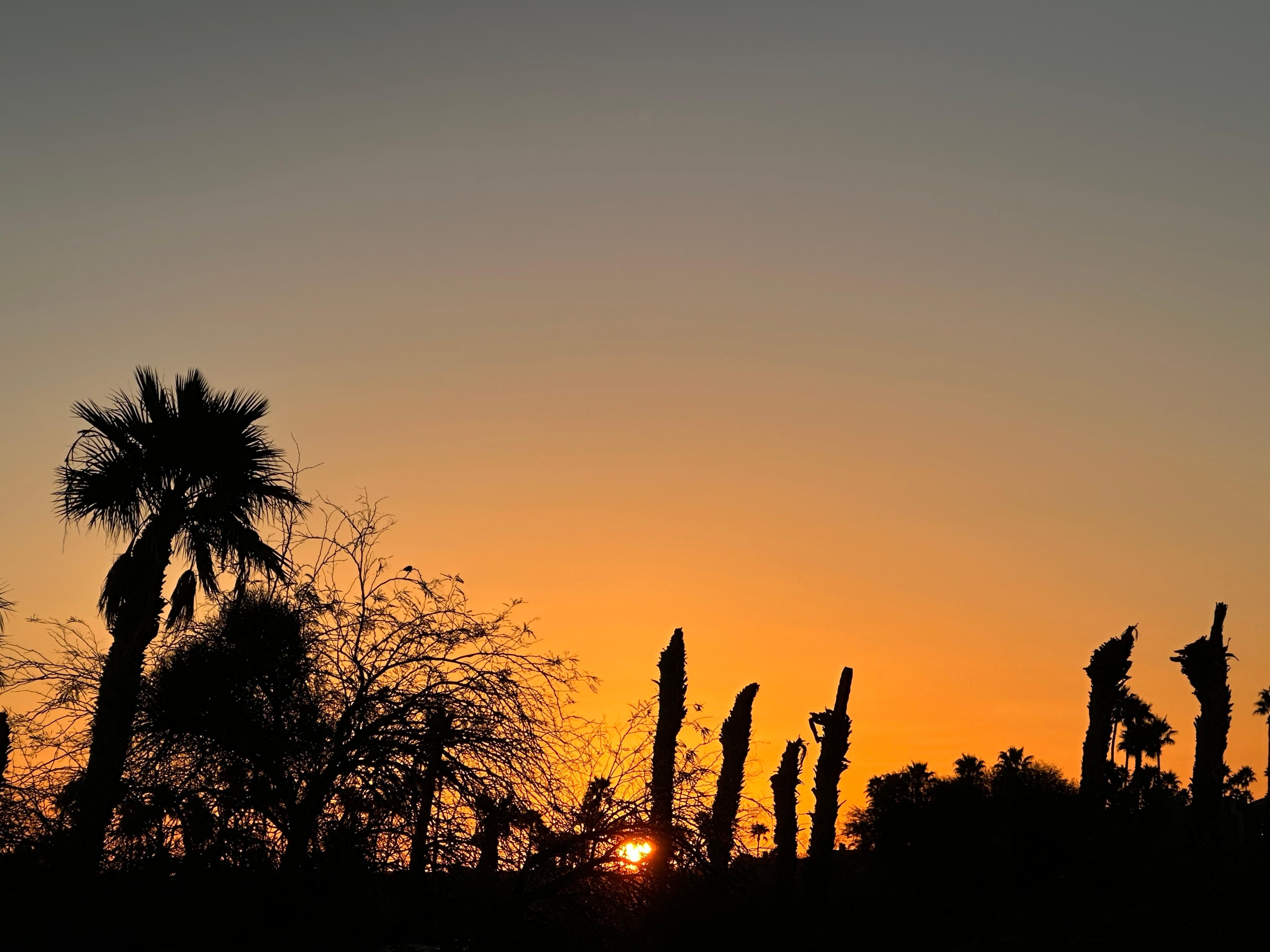Sunrise from the patio.