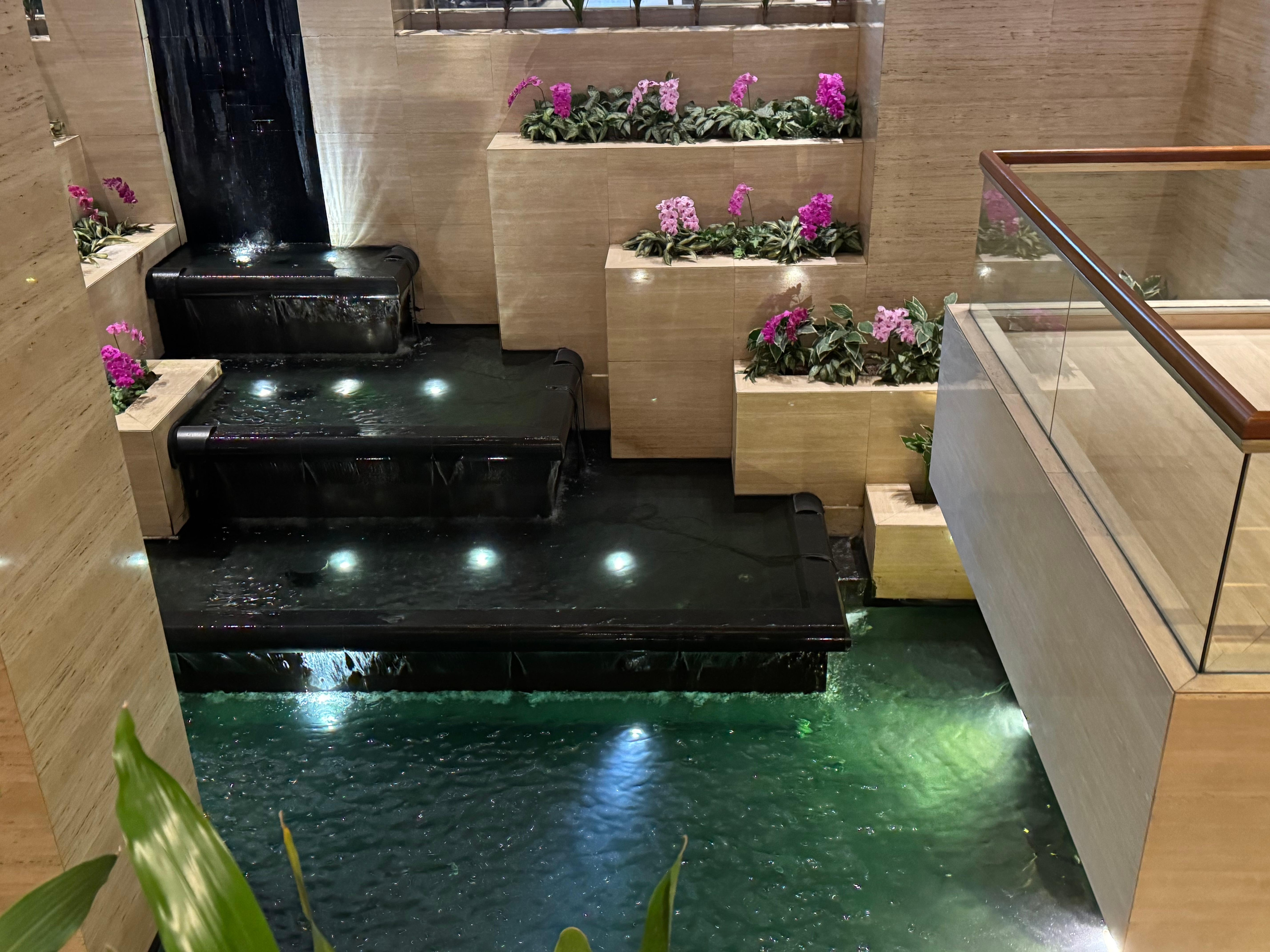 Before the buffet breakfast 