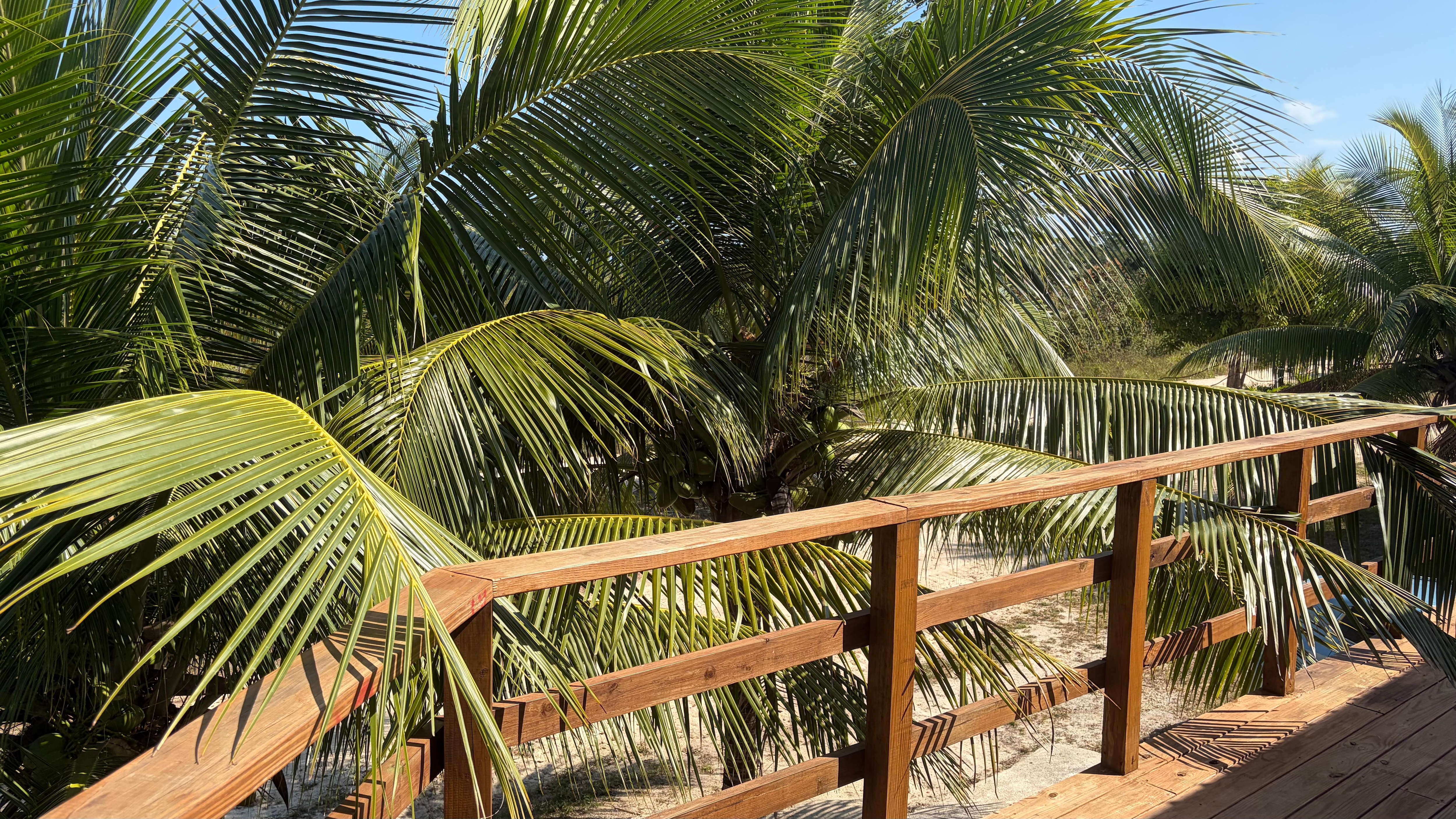 View out of the kitchen window