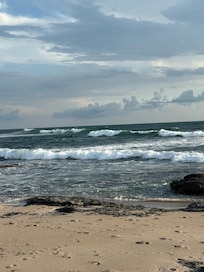Beach right in back of the house.