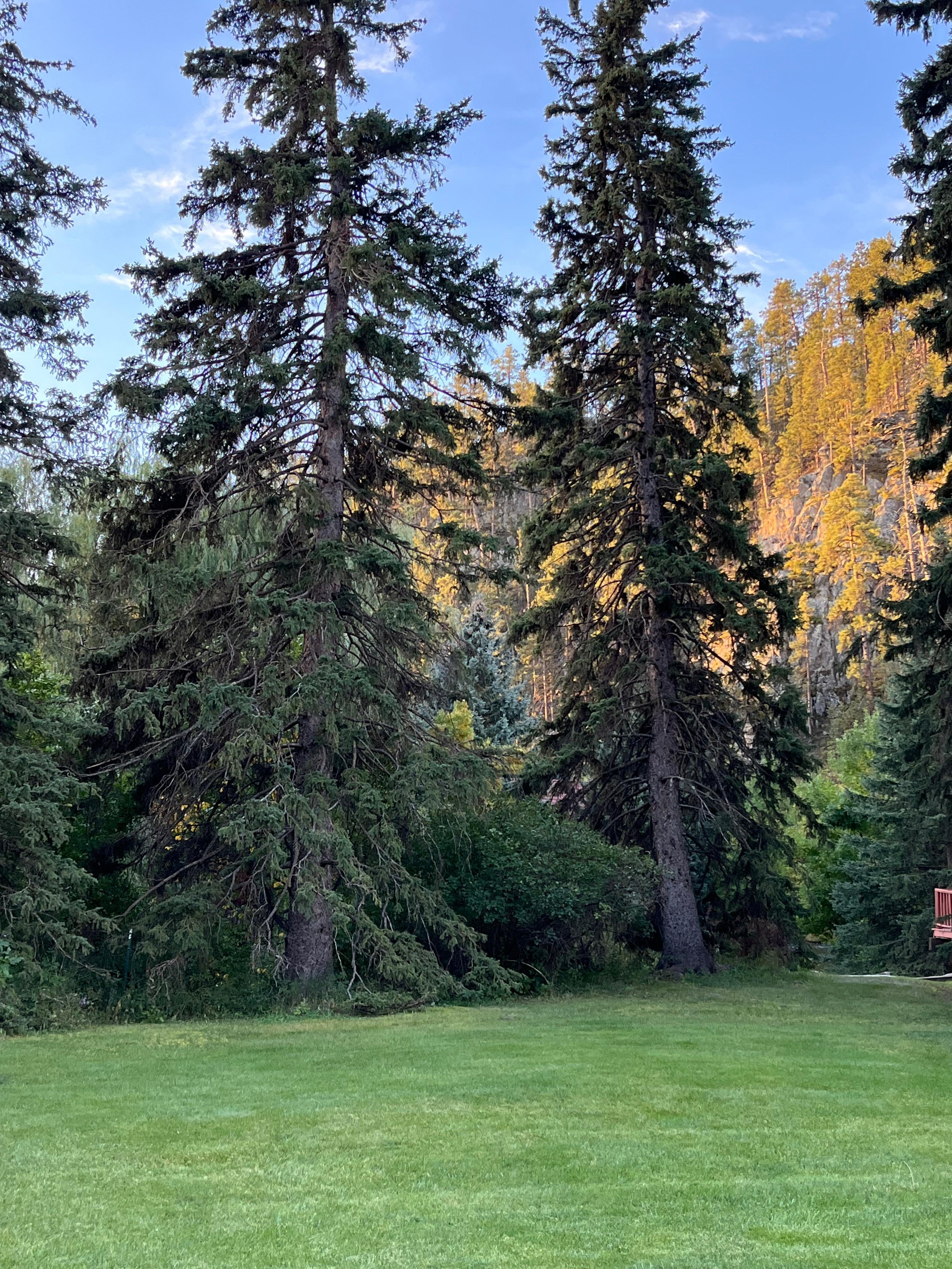 Morning coffee on the porch