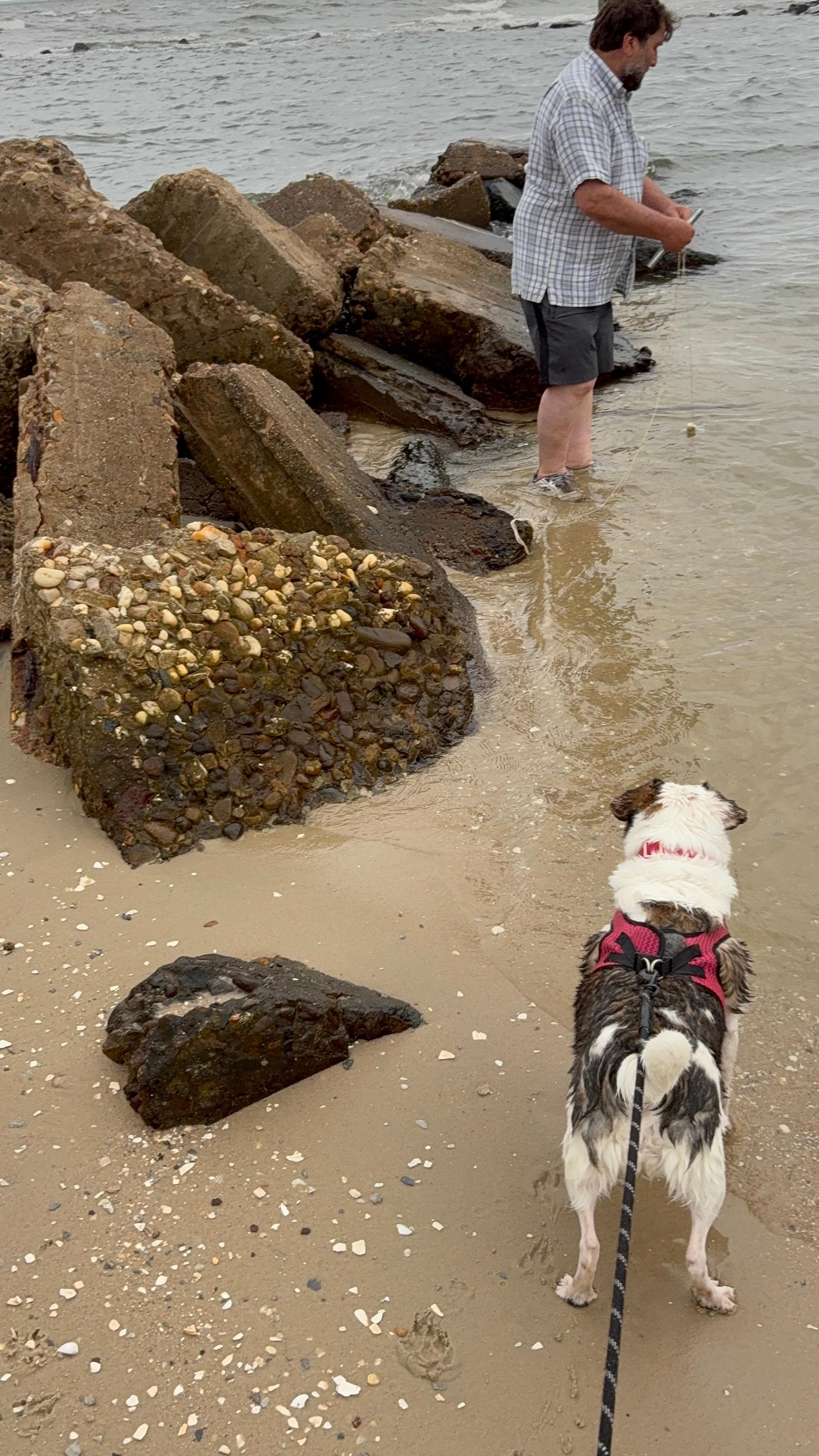 My husband Bob enjoying the bay with Winnie.
