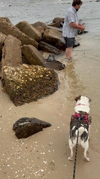 My husband Bob enjoying the bay with Winnie.