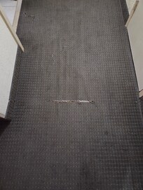 Ripped Carpet