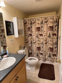 Master bathroom